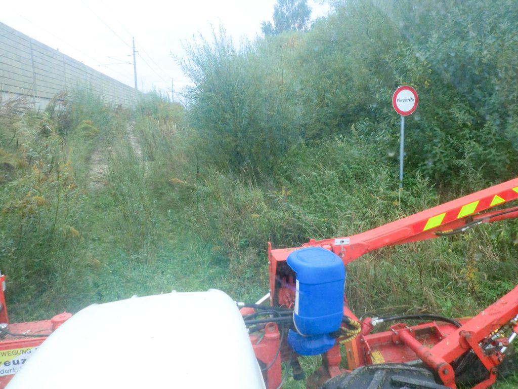 Kreuzerwirt Erdbewegung_Mäharbeiten 1 vorher