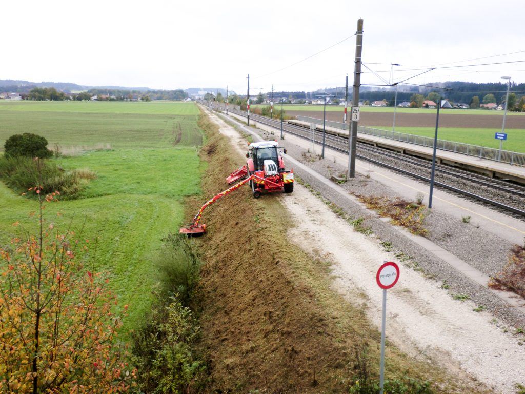 Kreuzerwirt Erdbewegung_Mäharbeiten 4