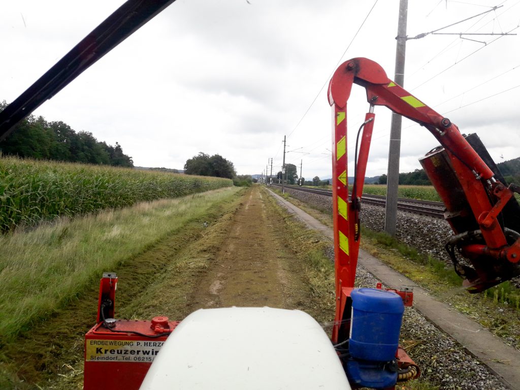 Kreuzerwirt Erdbewegung_Mäharbeiten-8