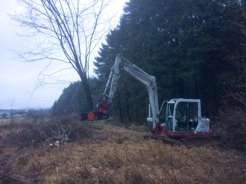 Kreuzerwirt - Baumfällung - Rodung - Energieholz-1