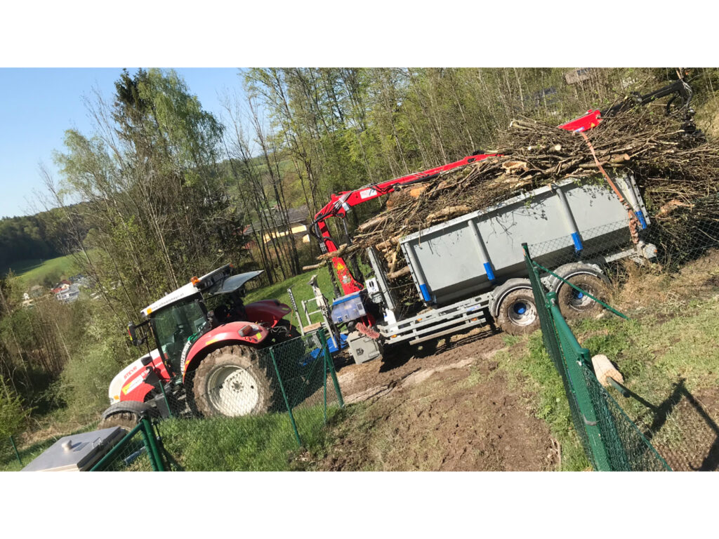 Kreuzerwirt - Baumfällung - Rodung - Energieholz-10