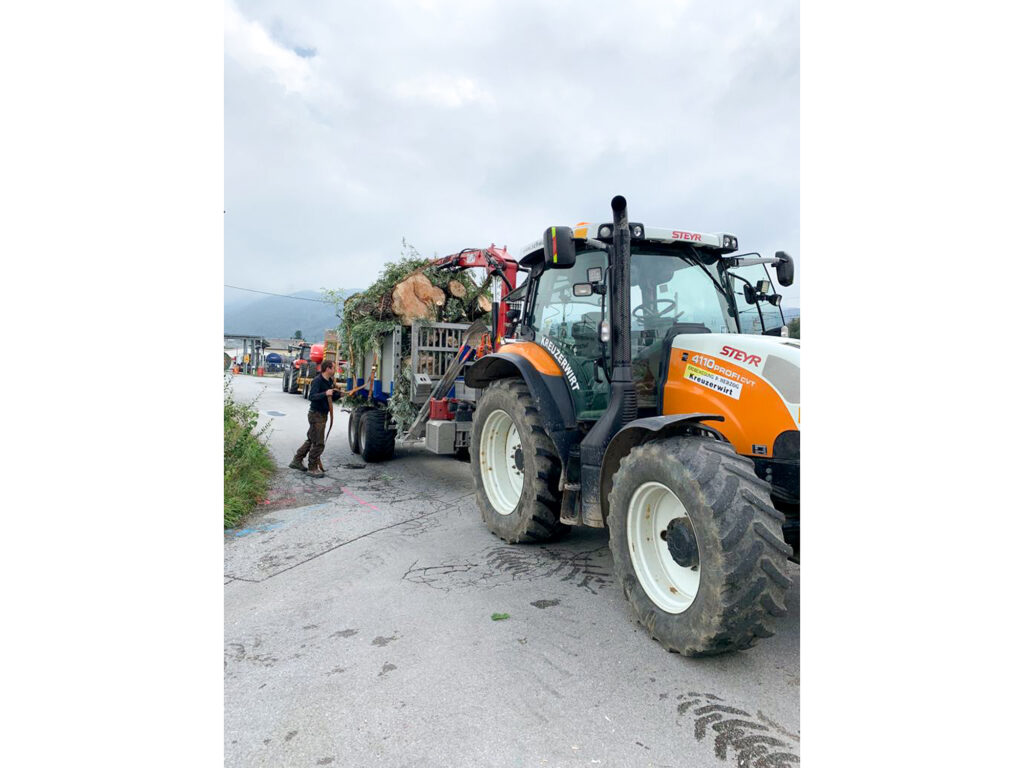 Kreuzerwirt - Baumfällung - Rodung - Energieholz-14