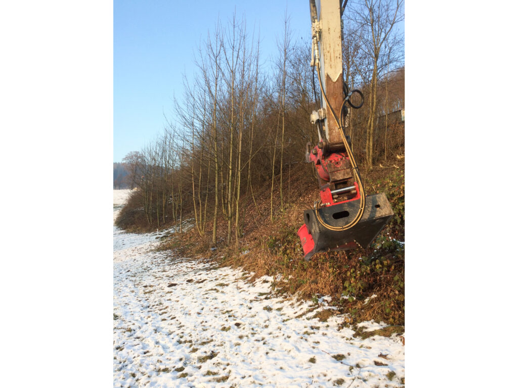 Kreuzerwirt - Baumfällung - Rodung - Energieholz-2