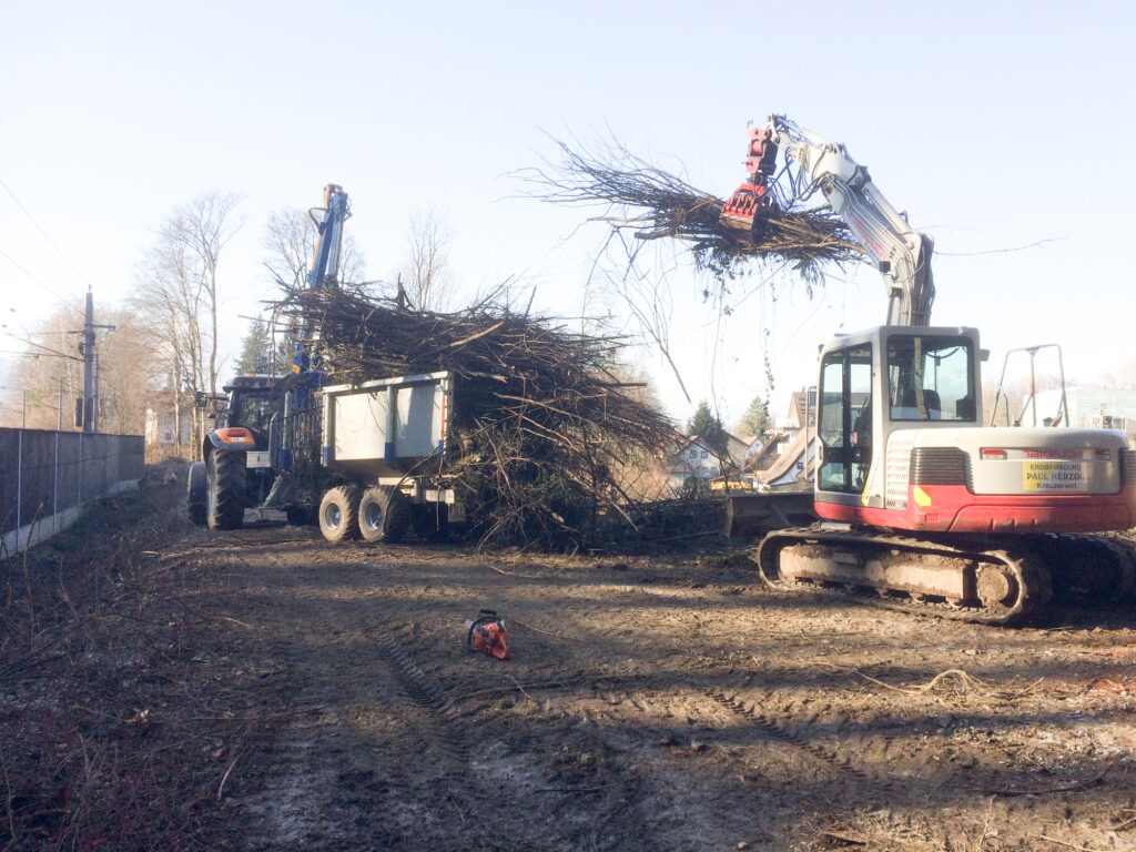 Kreuzerwirt - Baumfällung - Rodung - Energieholz-3
