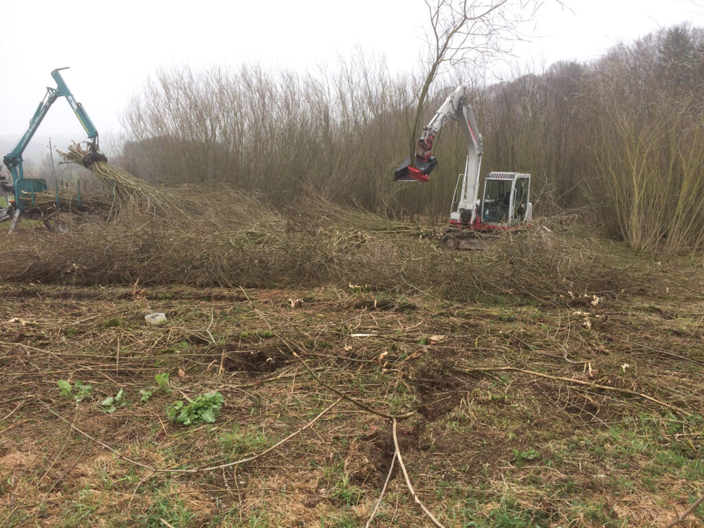 Kreuzerwirt - Baumfällung - Rodung - Energieholz-5