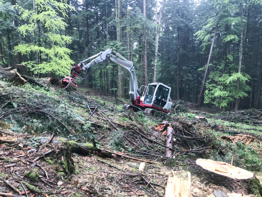 Kreuzerwirt - Erdbau-3